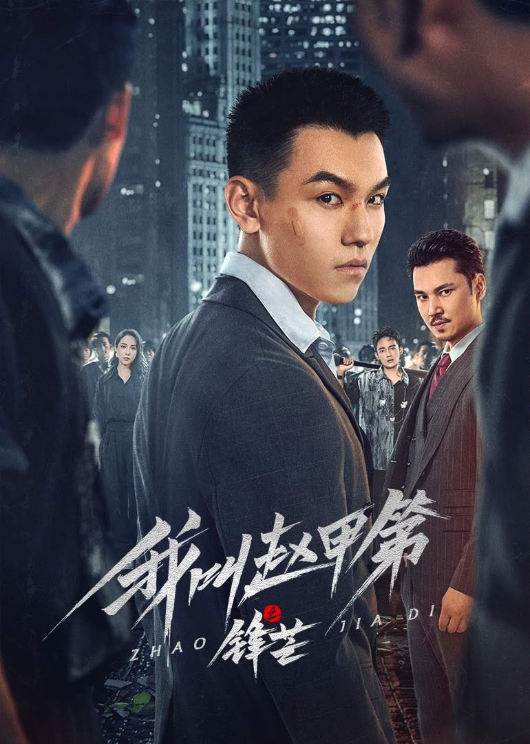 我叫赵甲第之锋芒封面图