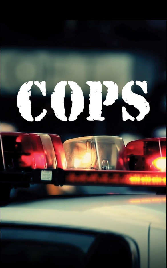 执法先锋 第三十七季封面图