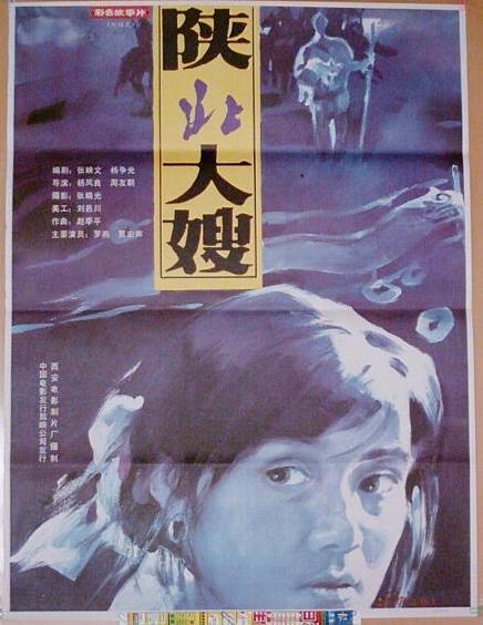 陕北大嫂封面图