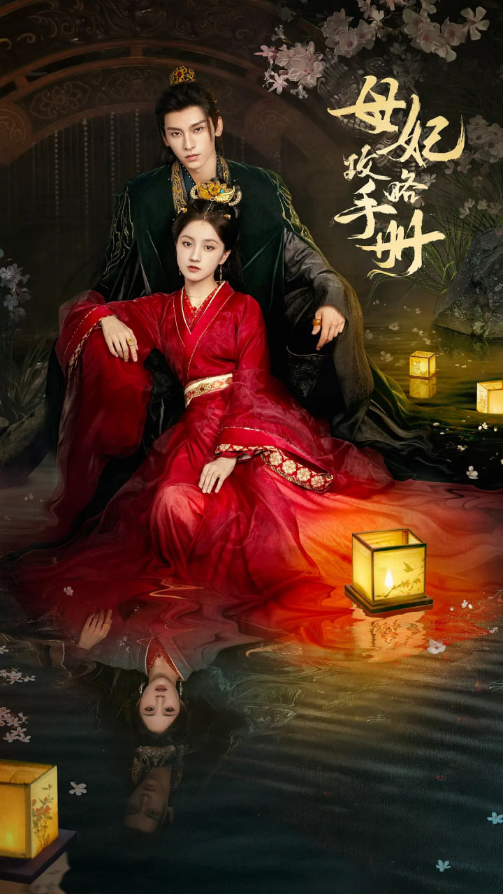 母妃攻略手册封面图