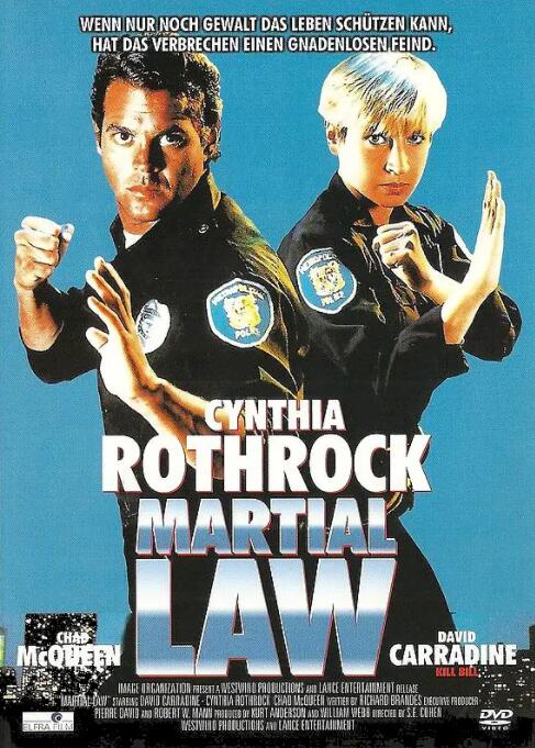 卧底飞龙封面图