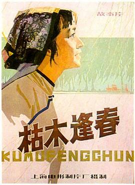 枯木逢春封面图