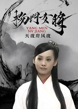 杨门女将之天波府风波封面图