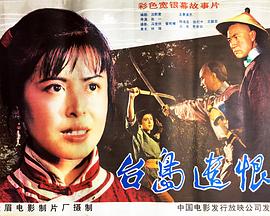 台岛遗恨封面图