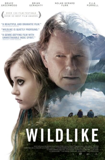 我心略野封面图