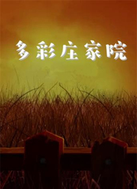 多彩庄家院封面图