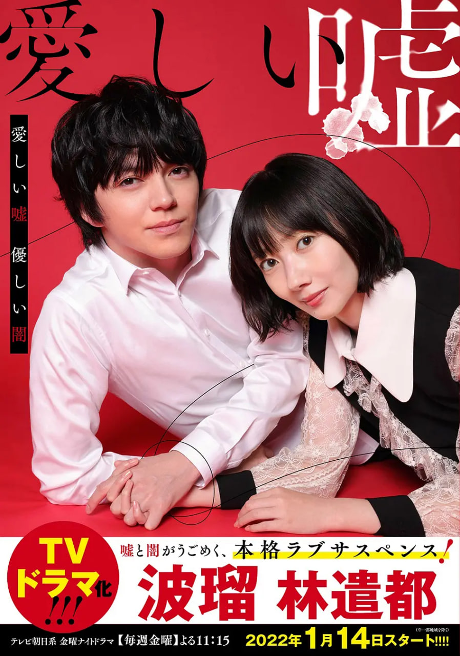 可爱的谎言.温柔的黑暗 第一季封面图