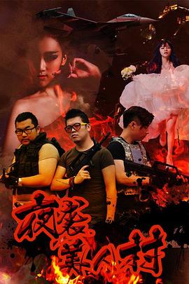 夜袭寡妇村2015封面图