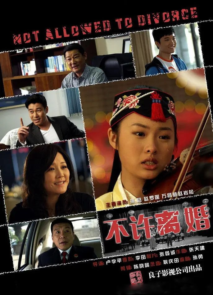 不许离婚 2013封面图