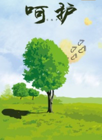 呵护封面图