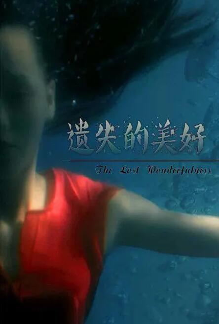 遗失的美好封面图