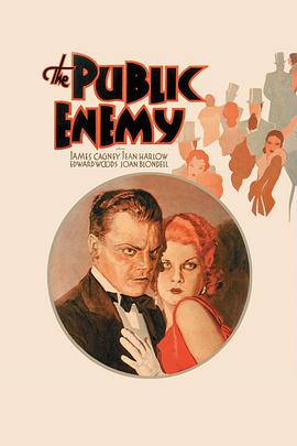 国民公敌封面图