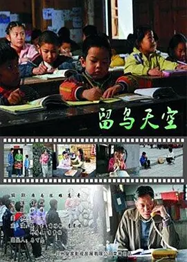 留鸟天空封面图