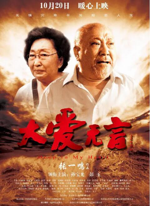 大爱无言封面图