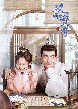 双面赘婿第二季封面图