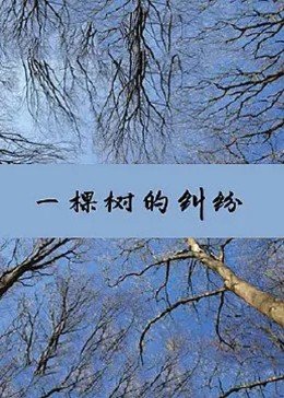 一棵树的纠纷封面图