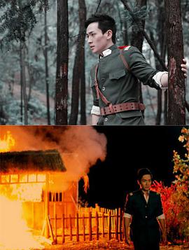 战地情天2012封面图