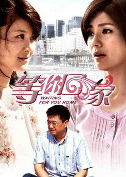 我在等你回家封面图