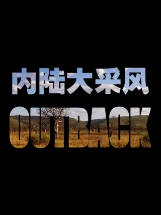 内陆大采风封面图