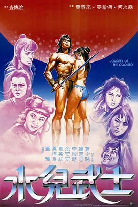 水儿武士1985封面图
