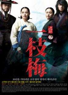 一枝梅归来封面图