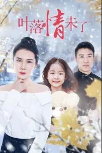 叶落情未了封面图