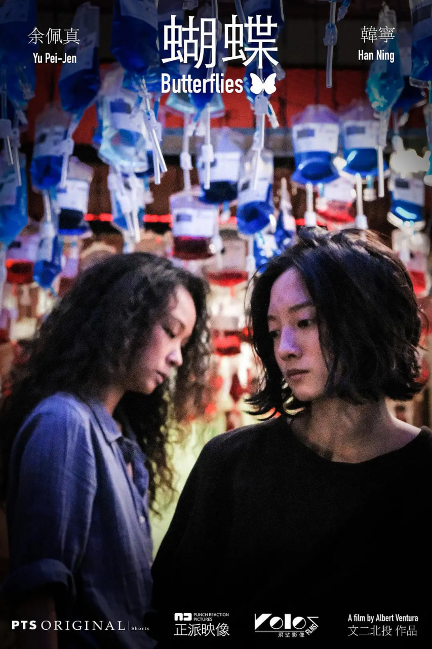 蝴蝶 2021封面图