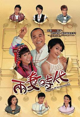 两妻时代[电影解说]封面图