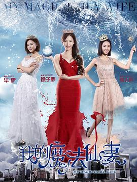 我的魔法仙妻[电影解说]封面图