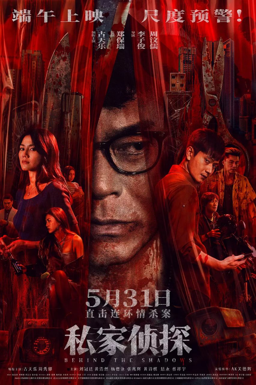 私家侦探（国语版）封面图