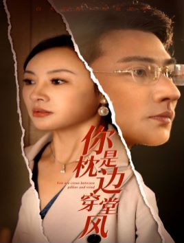 你是枕边穿堂风封面图