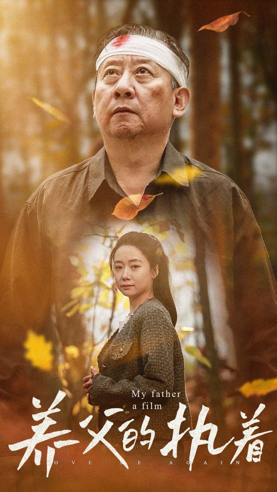 养父的执着封面图