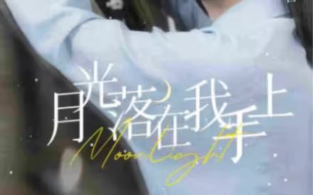 月亮落在我手上封面图