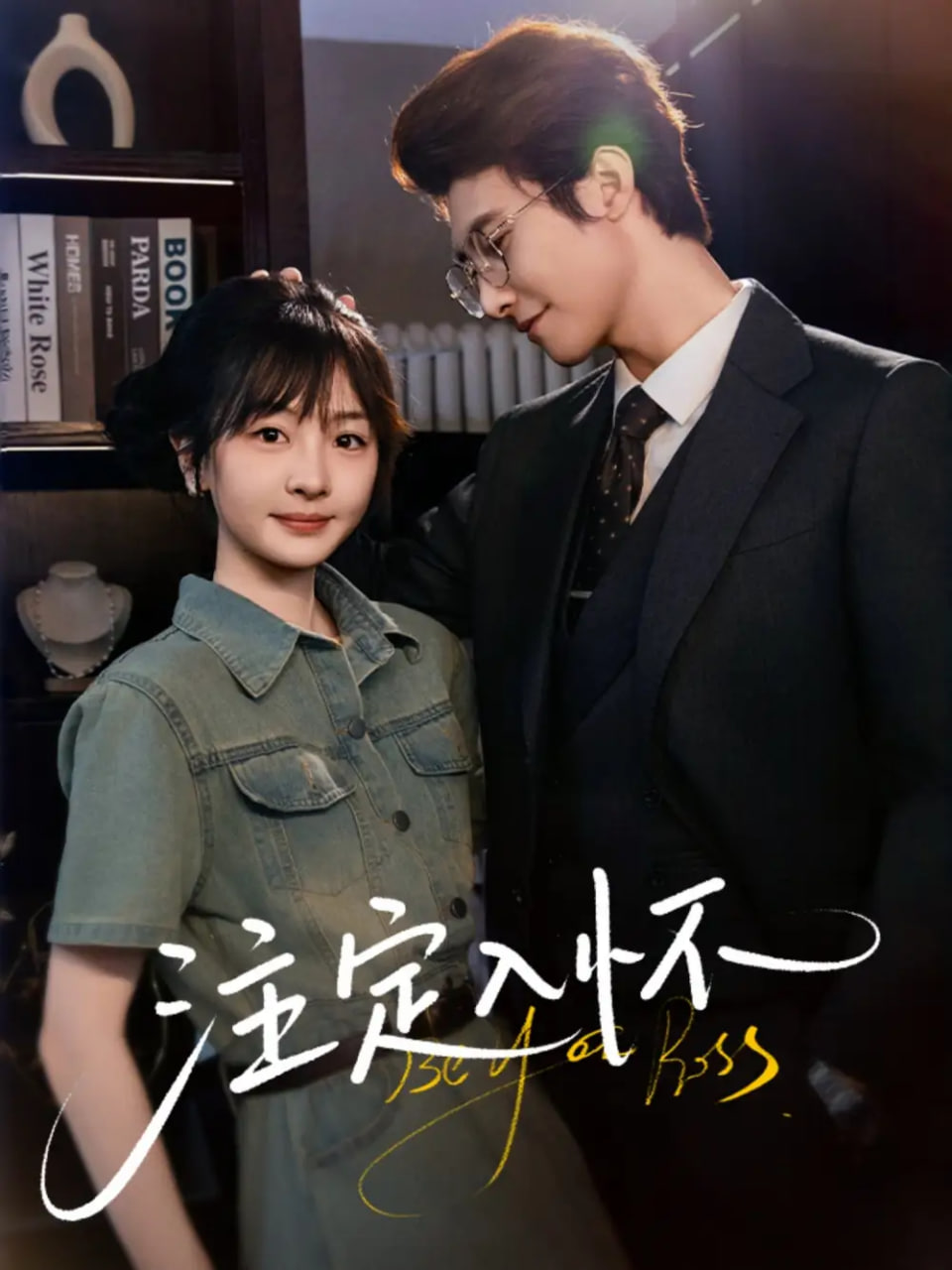 注定入怀封面图