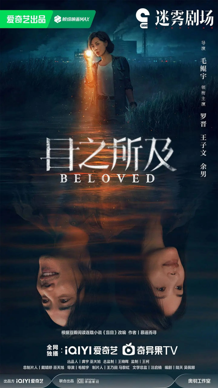 目之所及封面图