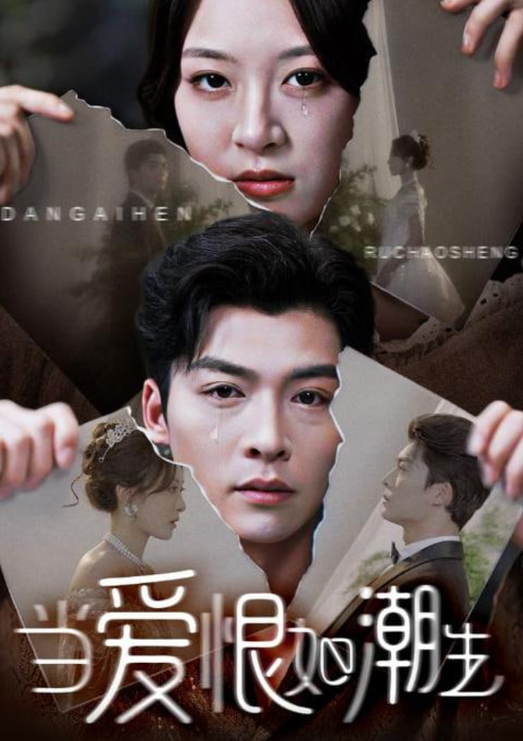 当爱恨如潮生封面图