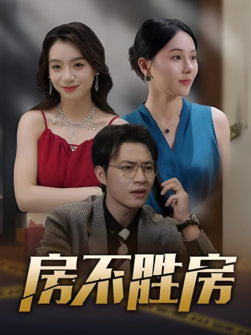 房不胜房封面图