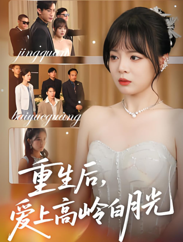 重生后爱上高岭白月光封面图