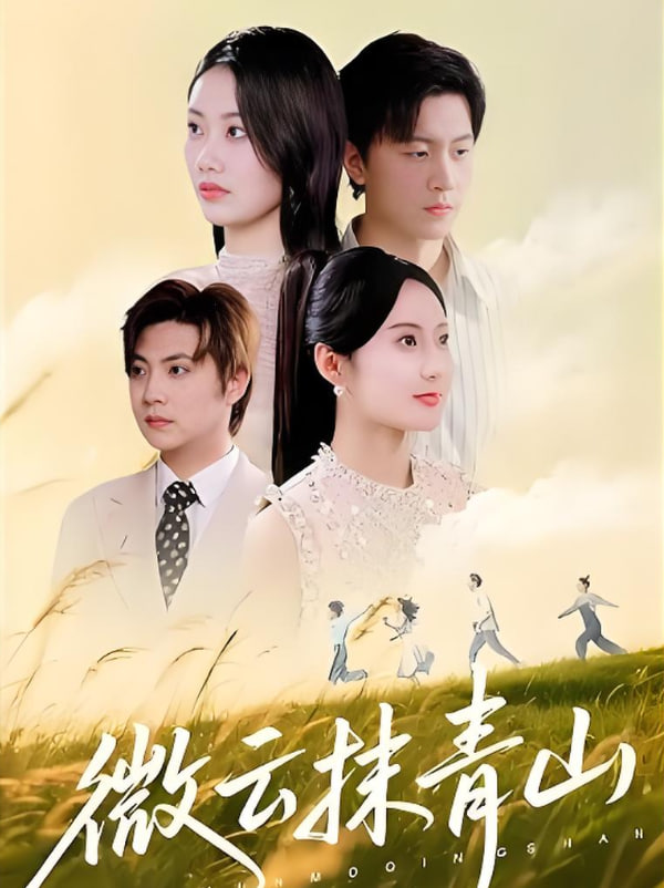 微云抹青山封面图