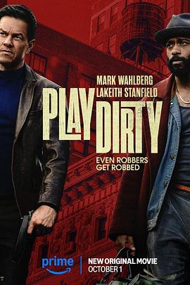 盗亦有道2025[电影解说]封面图