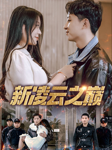 新凌云之巅封面图