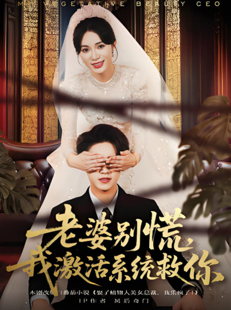 老婆别慌，我激活系统救你封面图