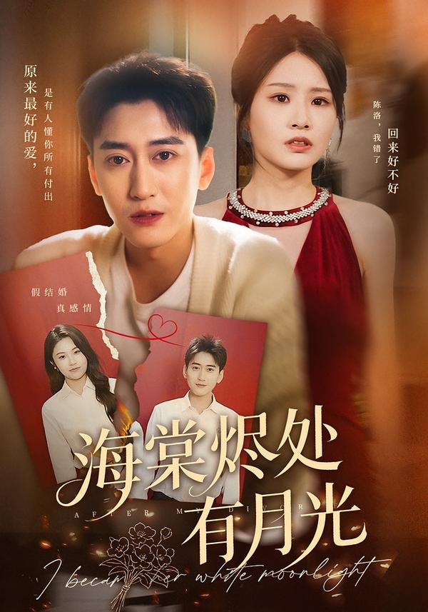 海棠烬处有月光封面图