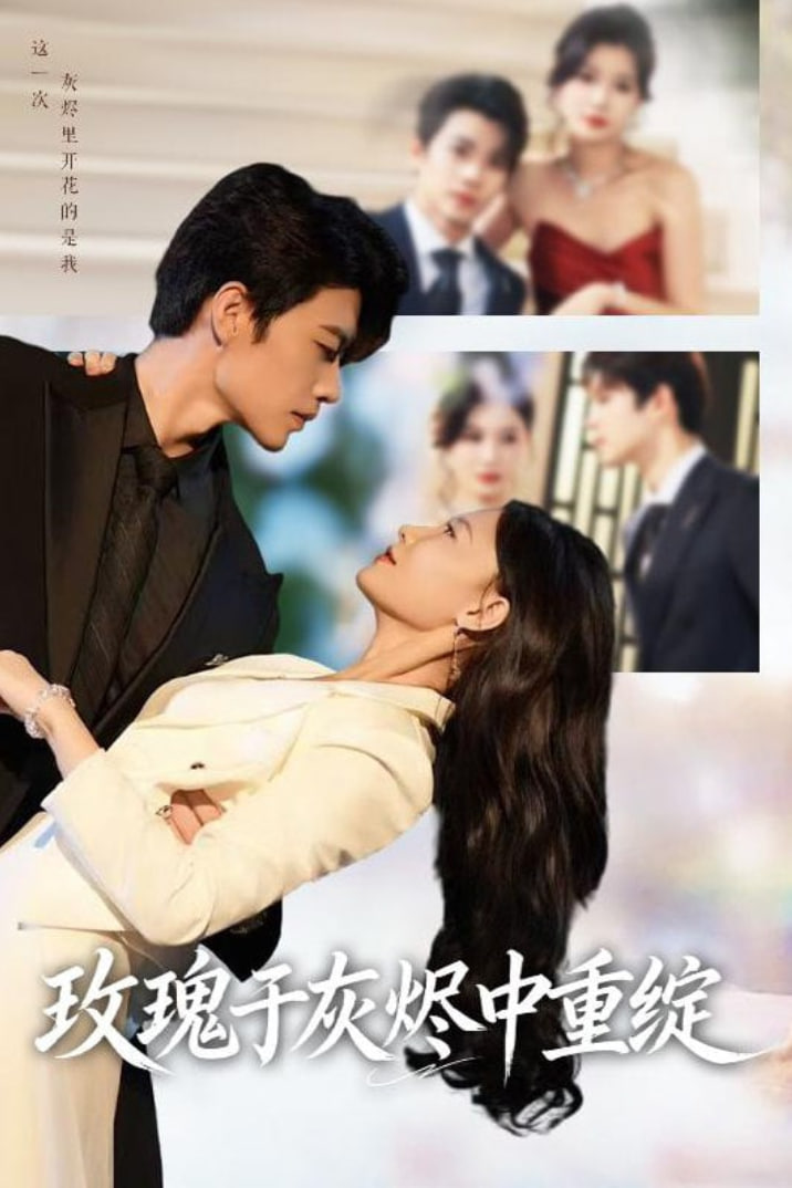 玫瑰于灰烬中重绽封面图