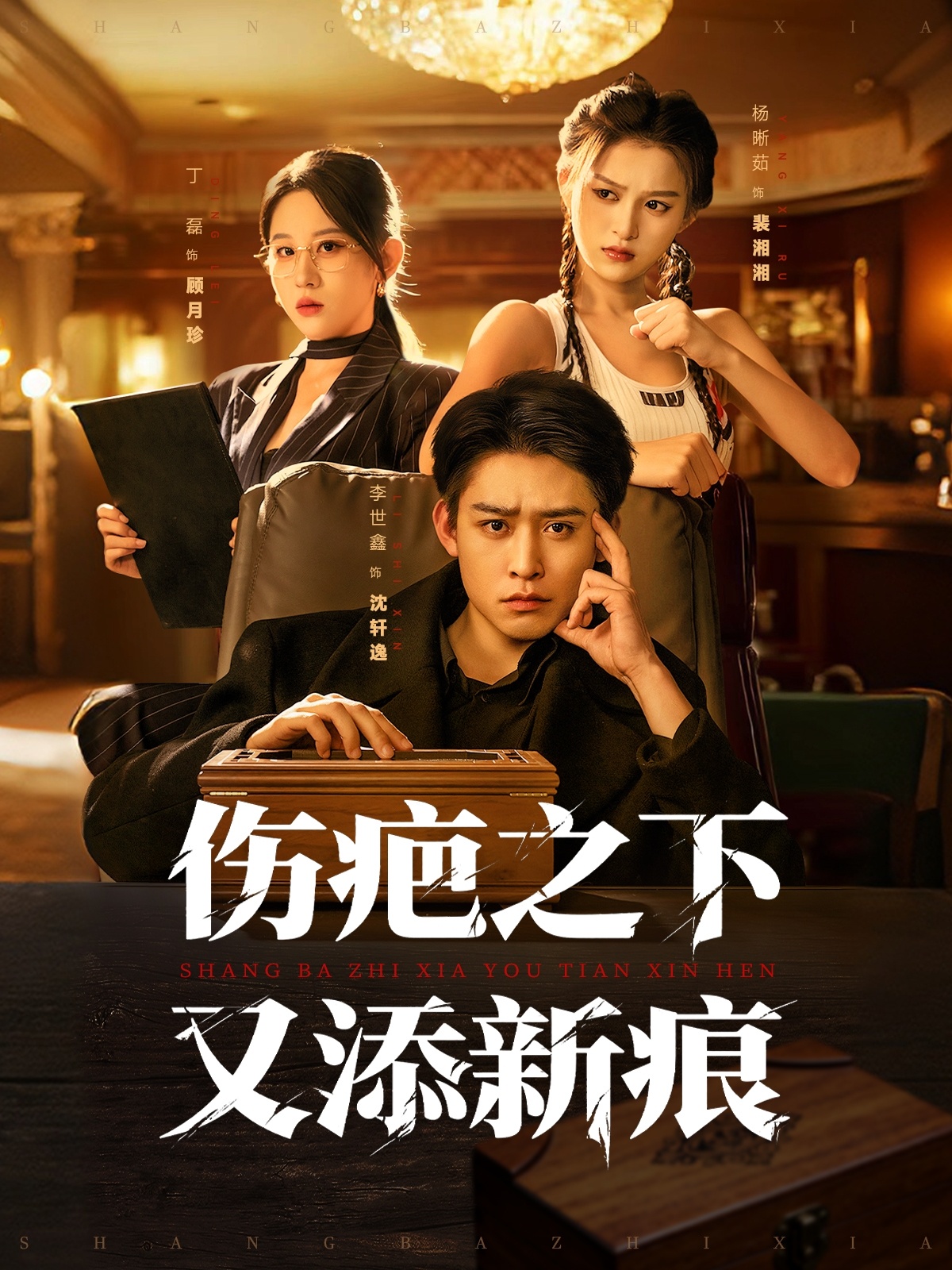 伤疤之下又添新痕封面图