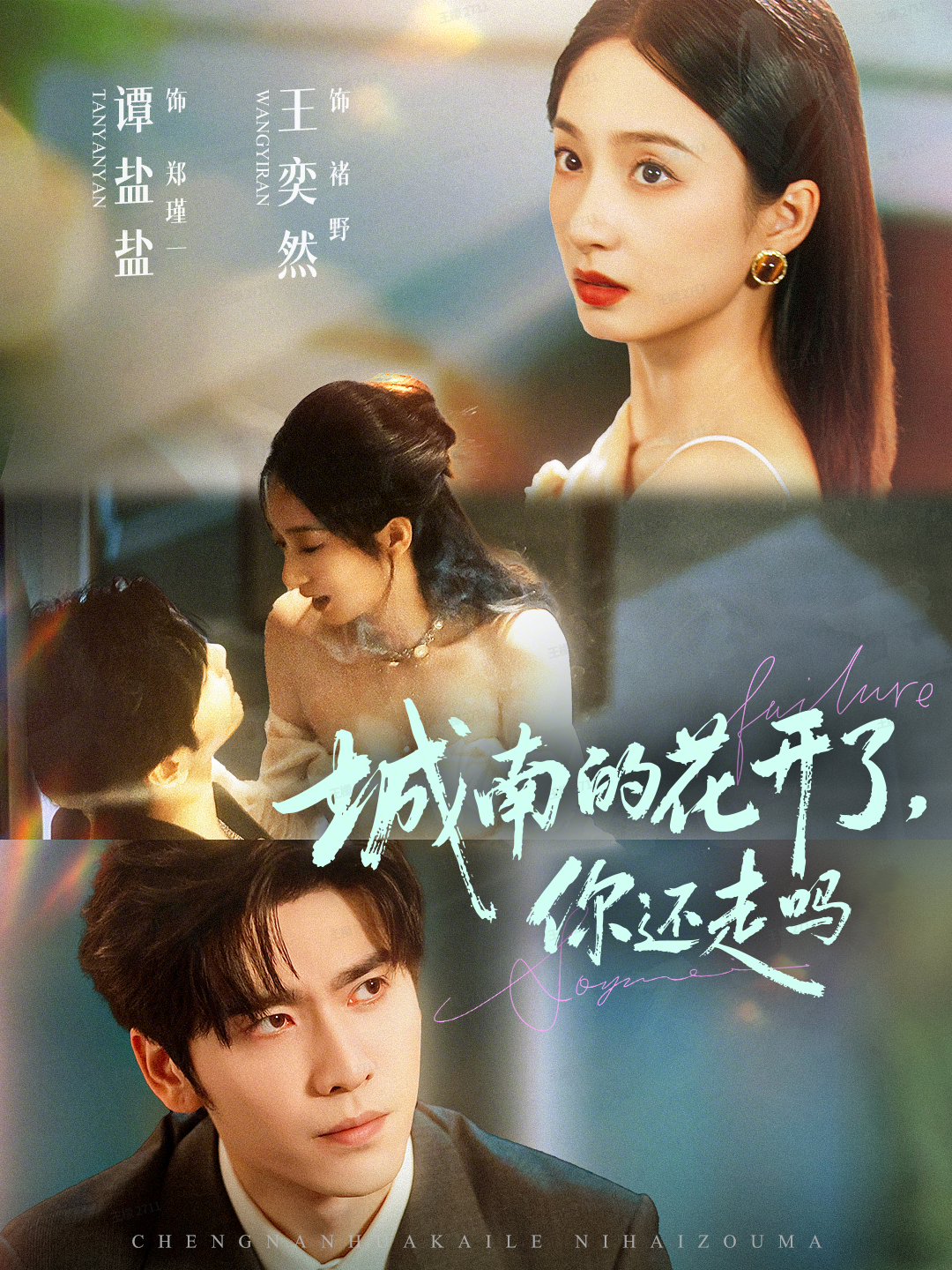 城南的花开了你还走吗封面图