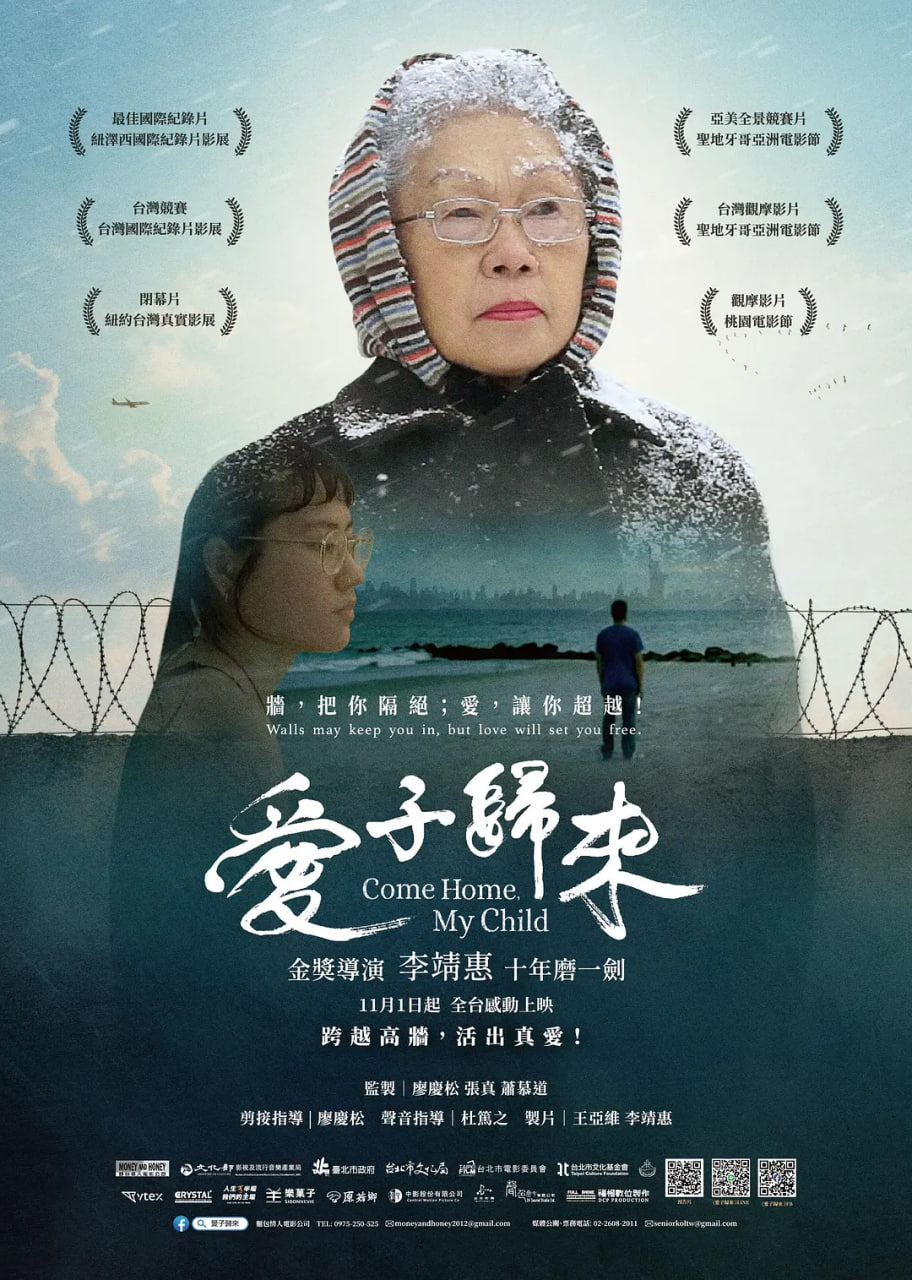 爱子归来封面图