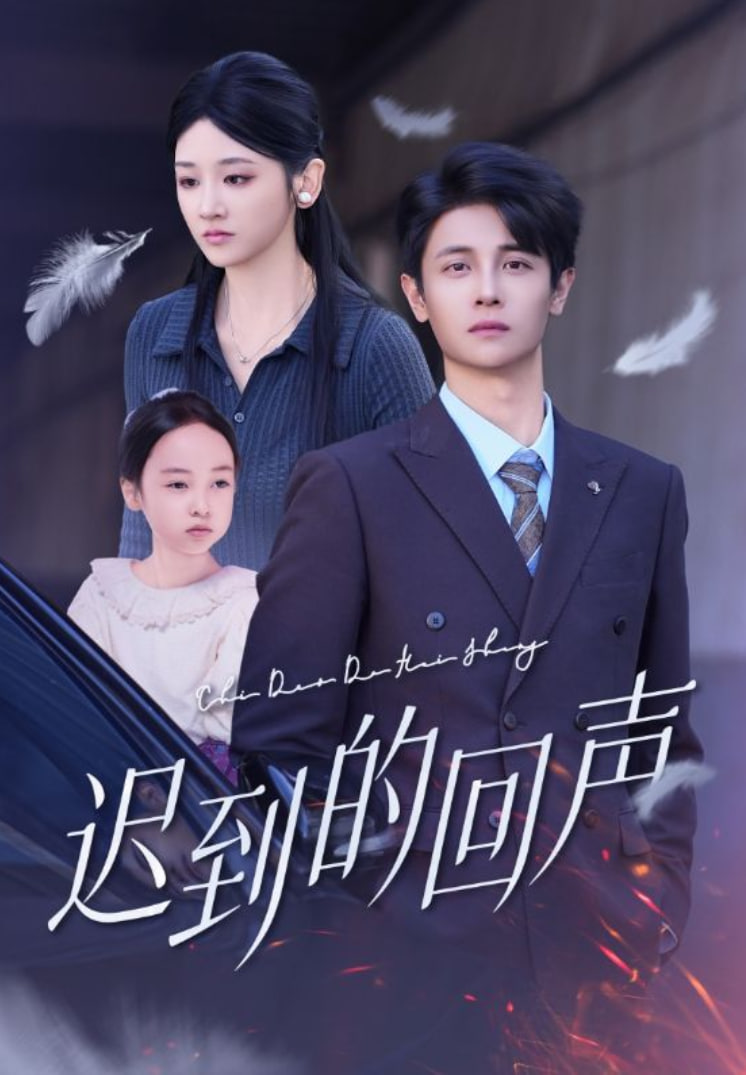 迟到的回声封面图