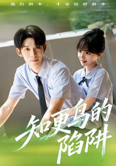 知更鸟的陷阱封面图